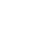 A security icon