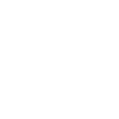 An ai icon