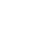 A circle with circular arrows around it icon