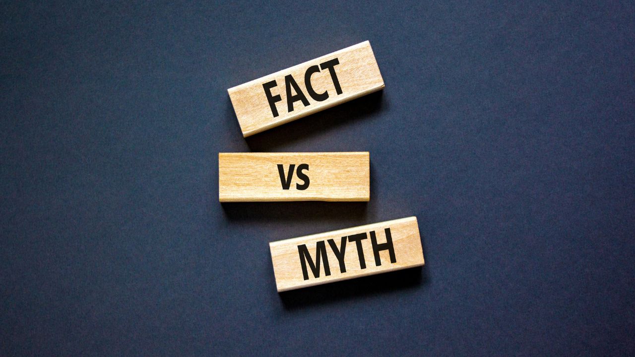 Three wooden blocks with the words Fact versus Myth