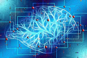 An AI Brain